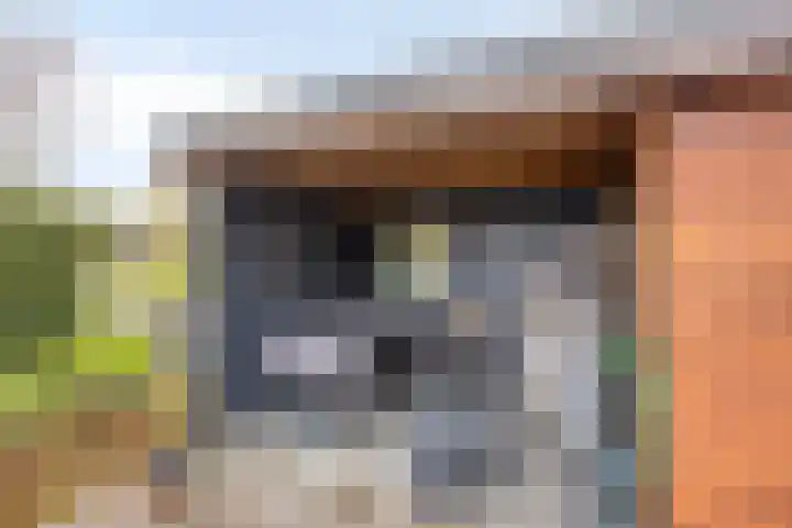 Gatsedijk 62 Maasdam thumbnail 24