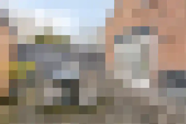 Gatsedijk 62 Maasdam thumbnail 25