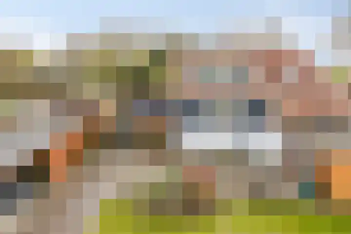 Gatsedijk 62 Maasdam thumbnail 27