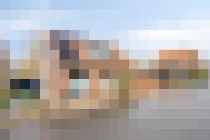 Gatsedijk 62 Maasdam thumbnail 30