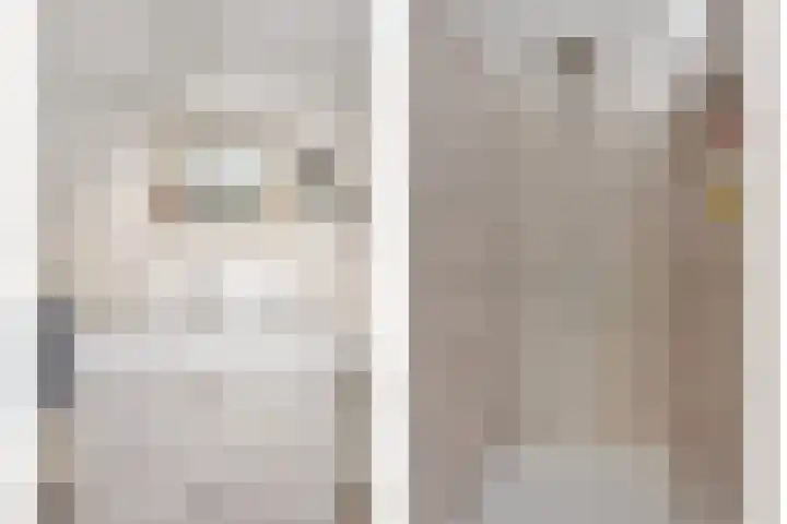 Gatsedijk 62 Maasdam thumbnail 4