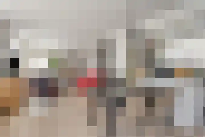 Gatsedijk 62 Maasdam thumbnail 6