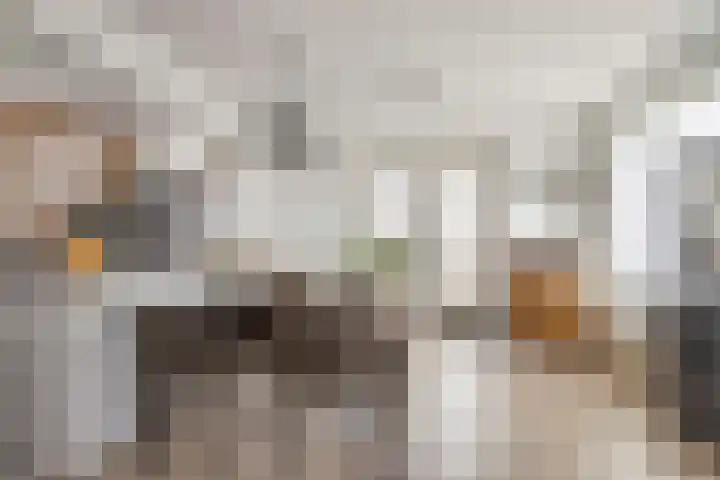 Gatsedijk 62 Maasdam thumbnail 9
