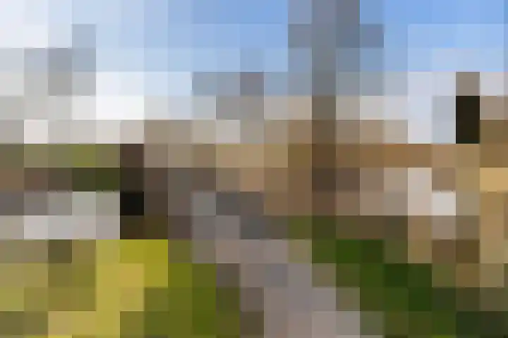 Geau 304 Oudega thumbnail 11