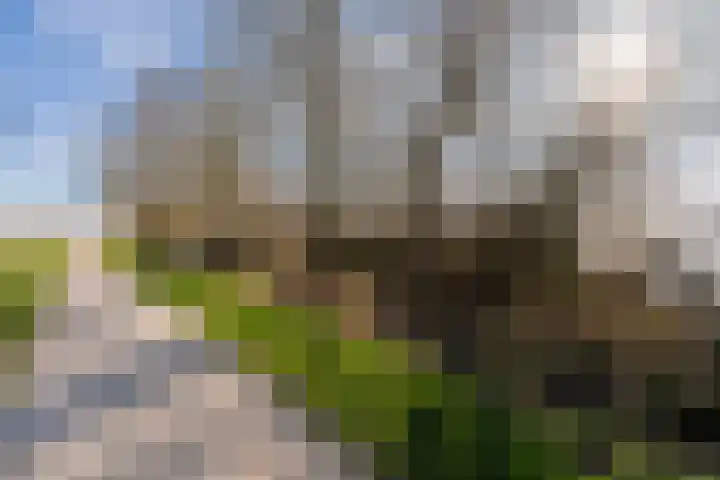 Geau 304 Oudega thumbnail 12