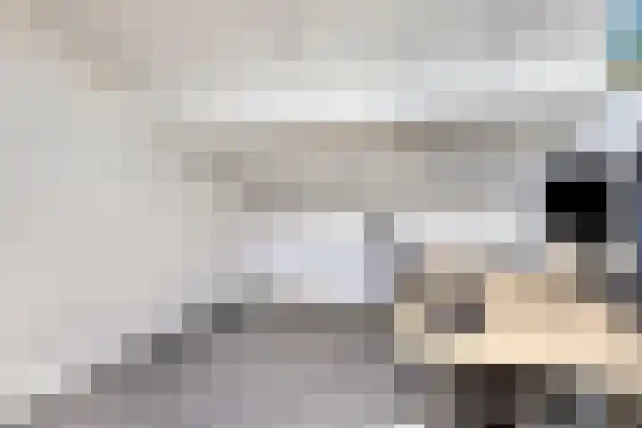 Geawei 33 Augustinusga thumbnail 15