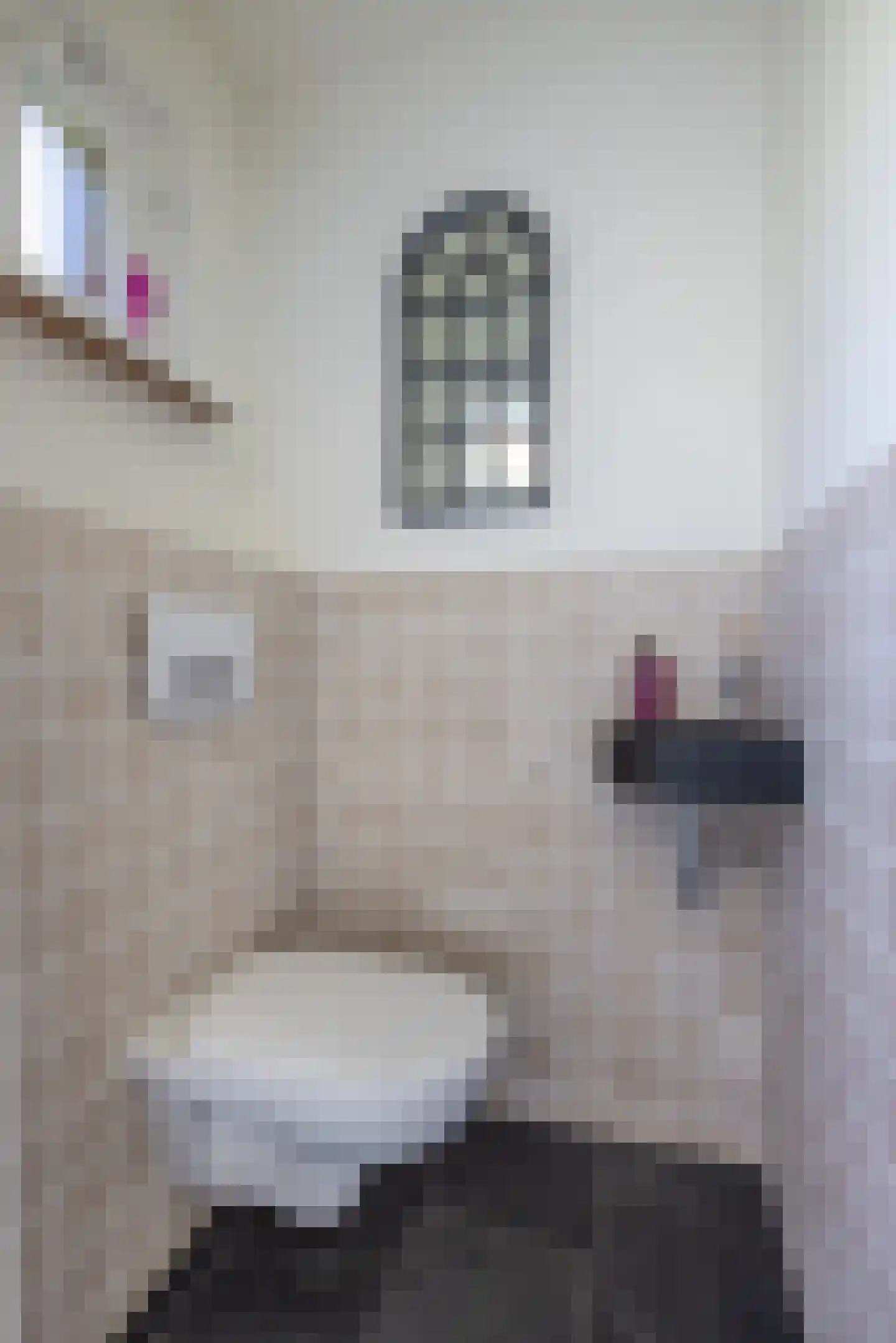 Geawei 33 Augustinusga thumbnail 20