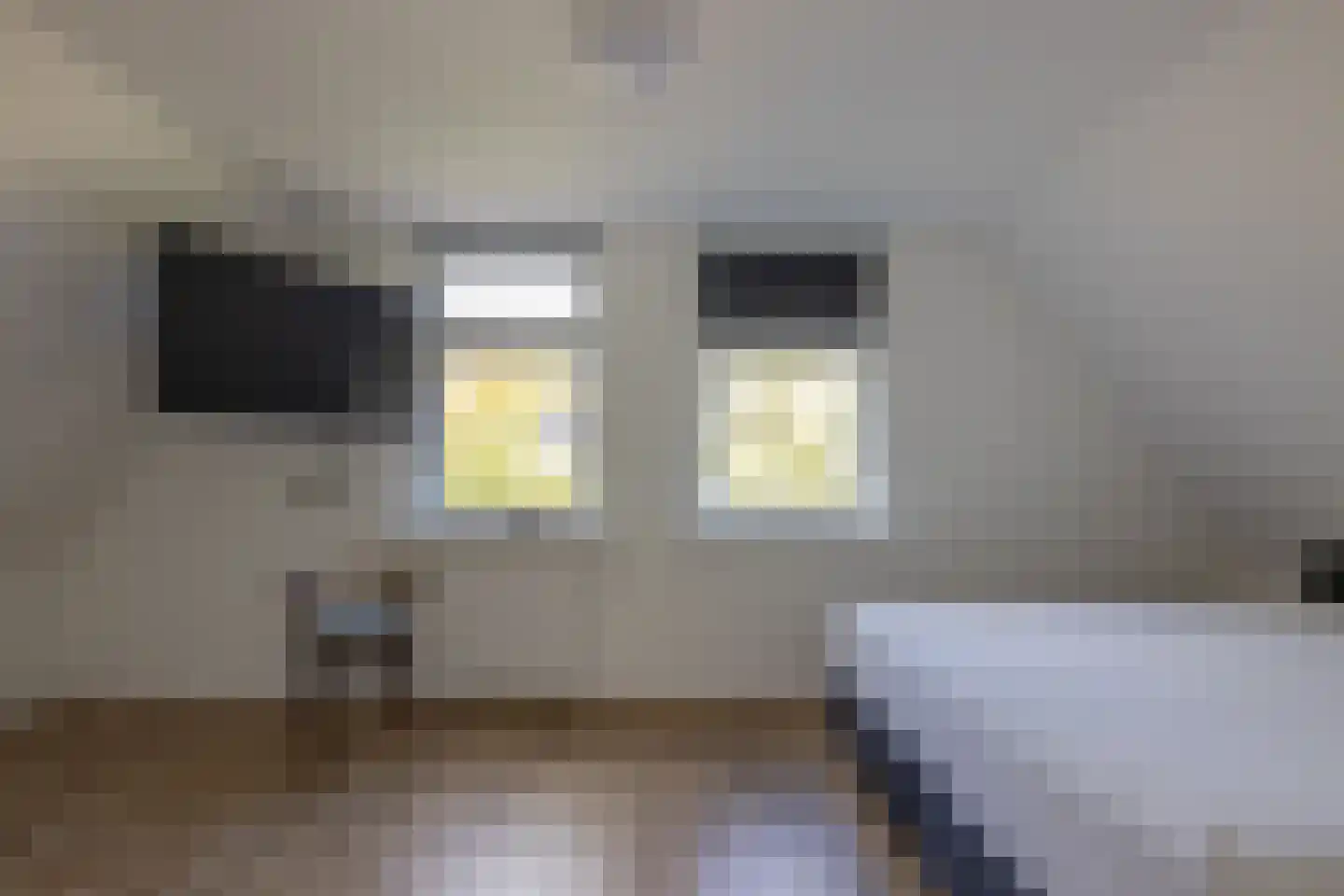 Geawei 33 Augustinusga thumbnail 22
