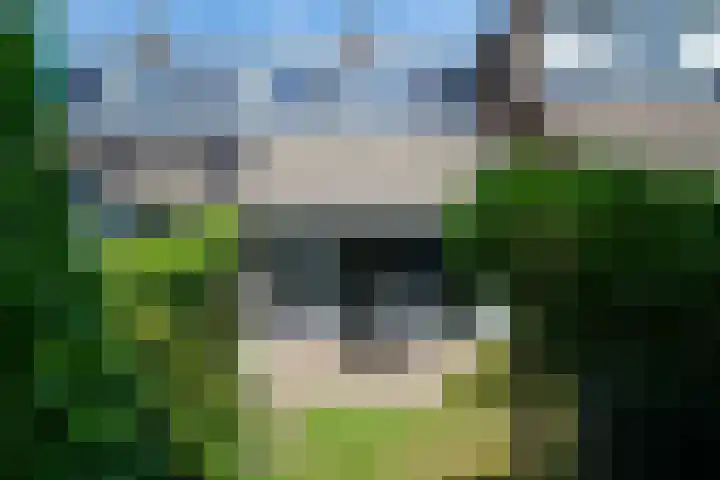 Geawei 33 Augustinusga thumbnail 28