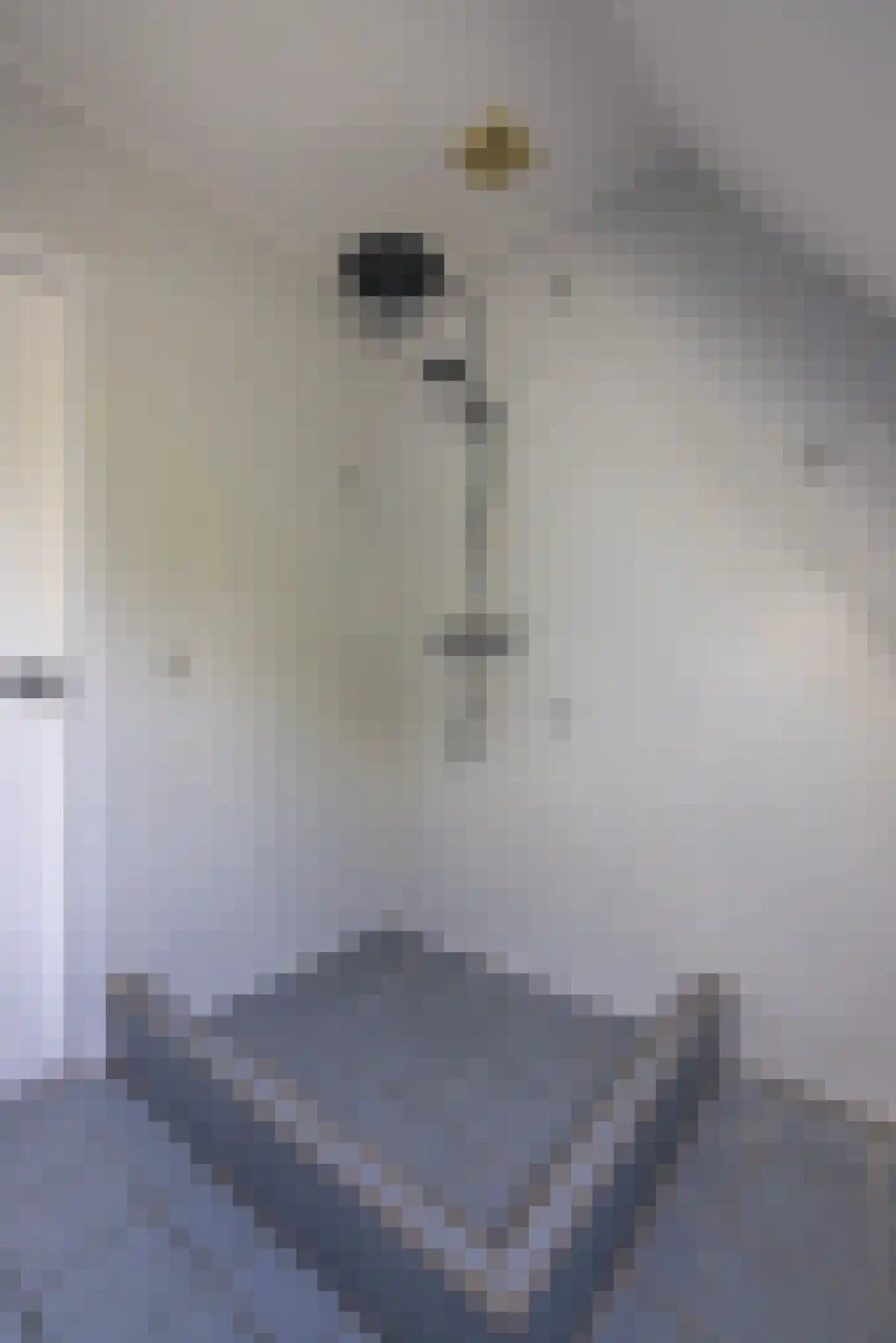 Geawei 33 Augustinusga thumbnail 31
