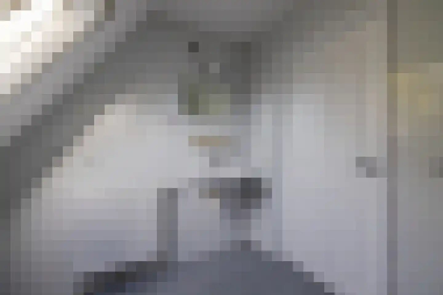 Geawei 33 Augustinusga thumbnail 32