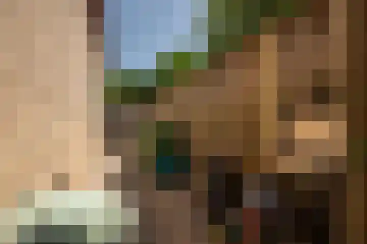 Geawei 33 Augustinusga thumbnail 40