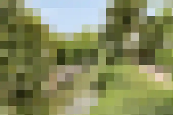 Geawei 33 Augustinusga thumbnail 5