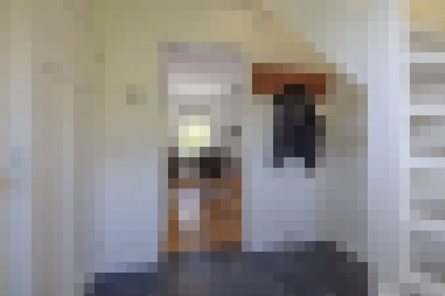 Geawei 33 Augustinusga thumbnail 9
