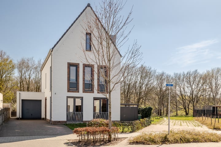 Gebint 81 in Oosterhout foto