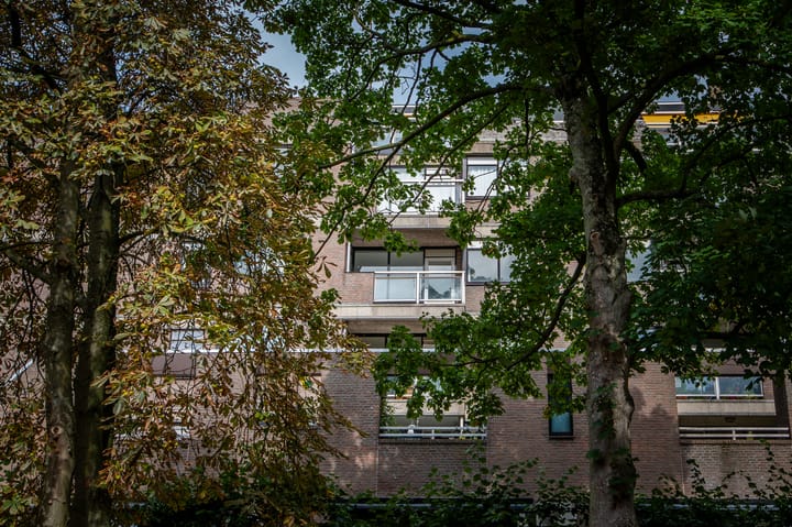 Gedempte Gracht 521 in 's-Gravenhage foto