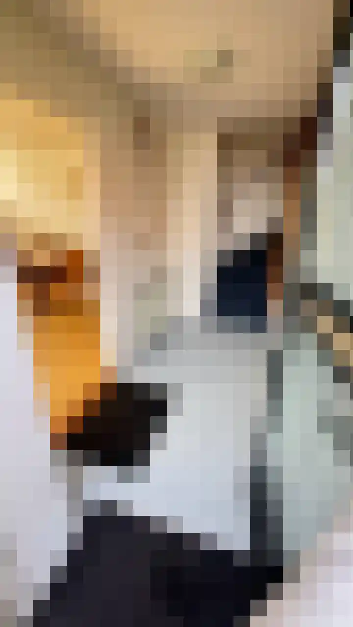 Gedempte Haven 15 Grou thumbnail 7