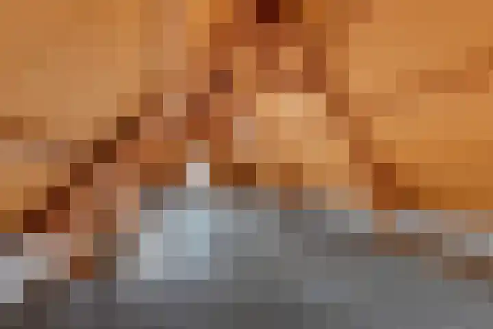 Gedempte Pol 11 Sneek thumbnail 18