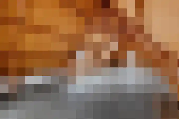 Gedempte Pol 11 Sneek thumbnail 4