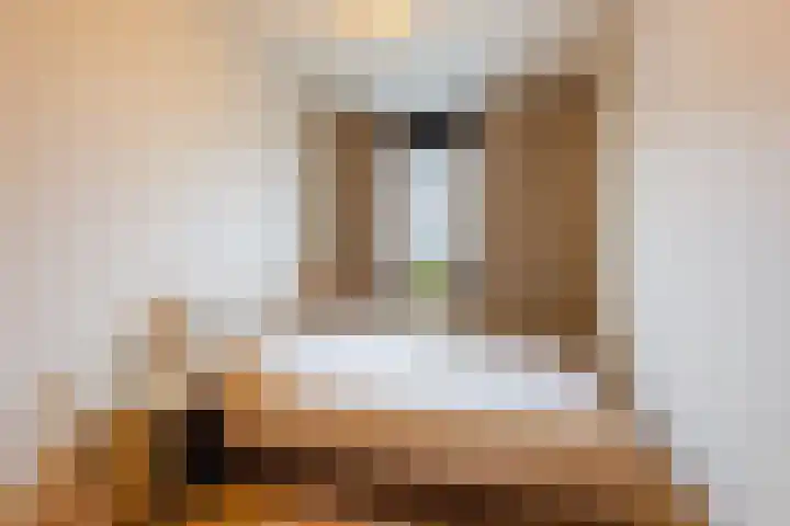 Geelhartje 2 Katwijk thumbnail 26