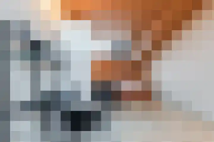 Geelhartje 2 Katwijk thumbnail 36