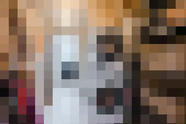 Geelhartje 2 Katwijk thumbnail 40