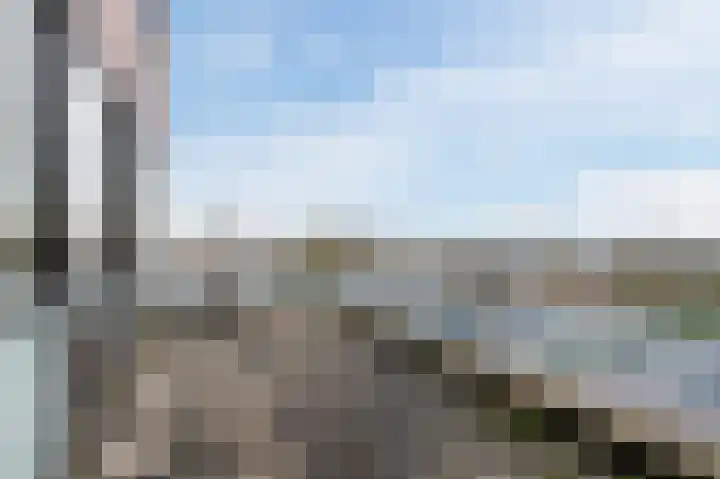 Geelhartje 2 Katwijk thumbnail 43