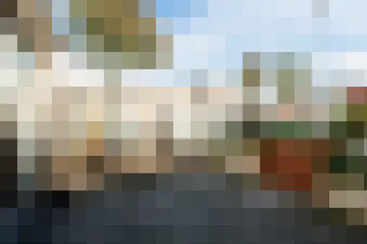 Geelhartje 2 Katwijk thumbnail 45