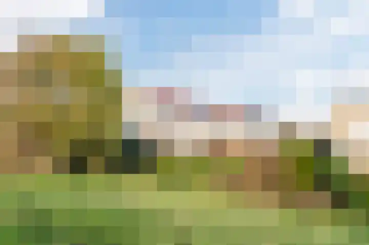 Geelhartje 2 Katwijk thumbnail 52