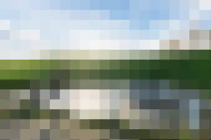Geelhartje 2 Katwijk thumbnail 53