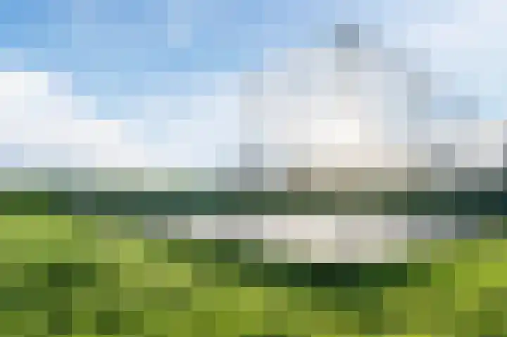 Geelhartje 2 Katwijk thumbnail 54