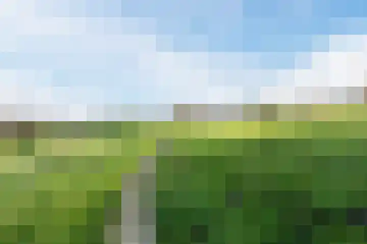 Geelhartje 2 Katwijk thumbnail 55