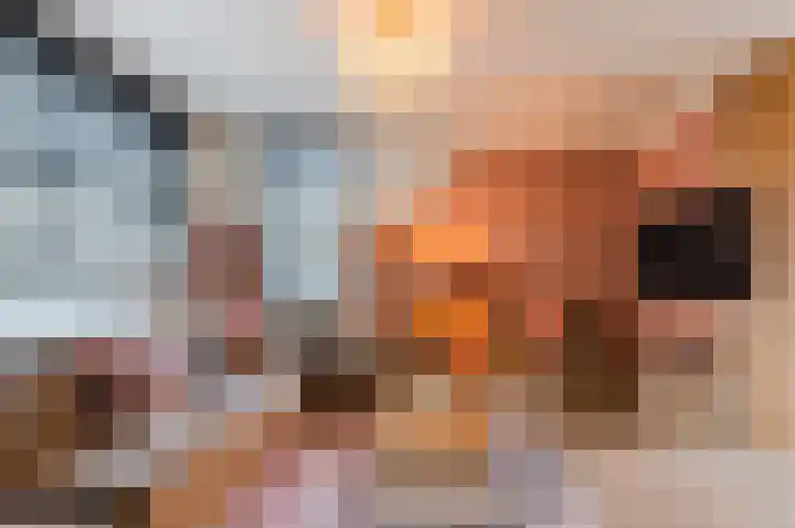 Geelhartje 2 Katwijk thumbnail 9
