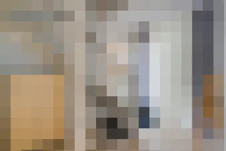 Geelsterlaan 16 Peize thumbnail 10