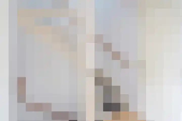 Geelsterlaan 16 Peize thumbnail 18