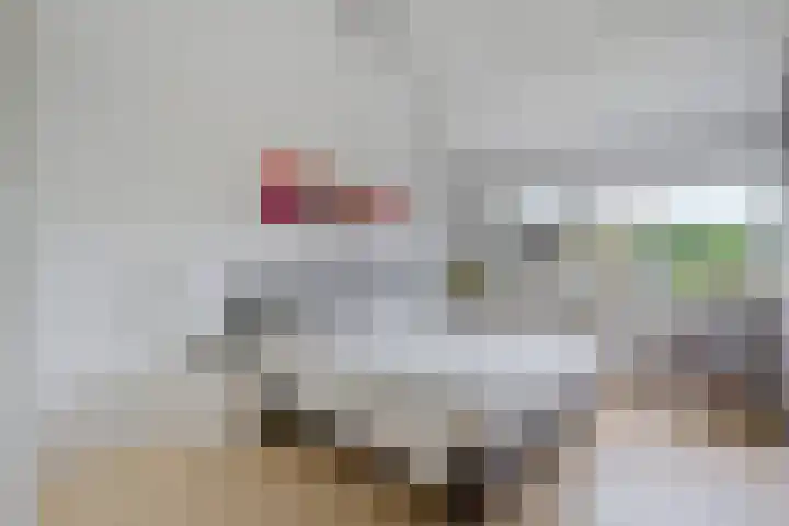 Geelsterlaan 16 Peize thumbnail 22