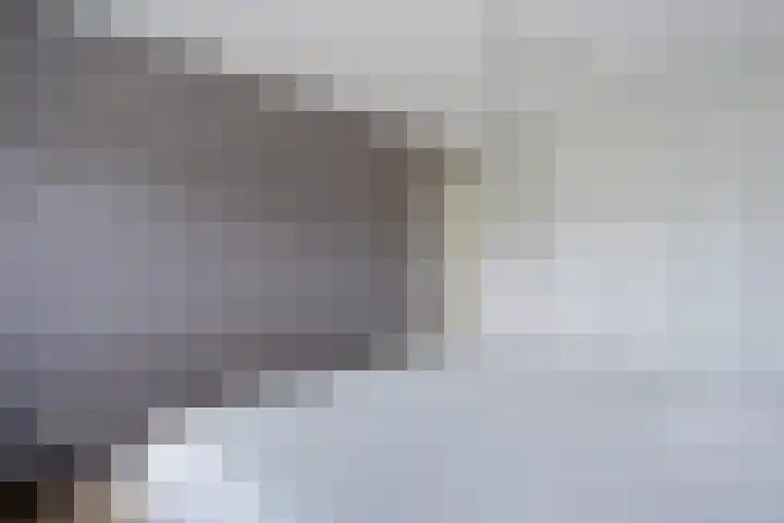 Geelsterlaan 16 Peize thumbnail 23