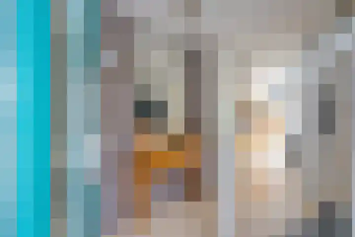 Geelsterlaan 16 Peize thumbnail 9