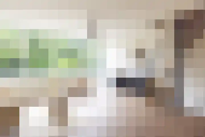 Geenstraat 23 Geleen thumbnail 22