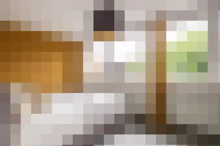 Geenstraat 23 Geleen thumbnail 26