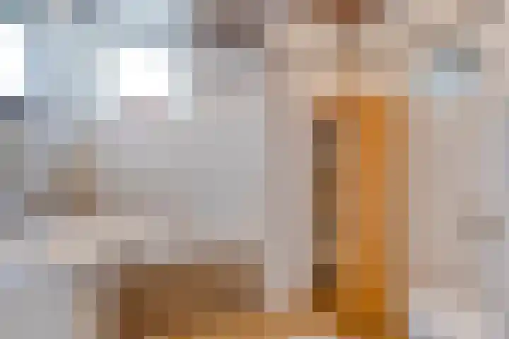Geep 5 Hellevoetsluis thumbnail 17