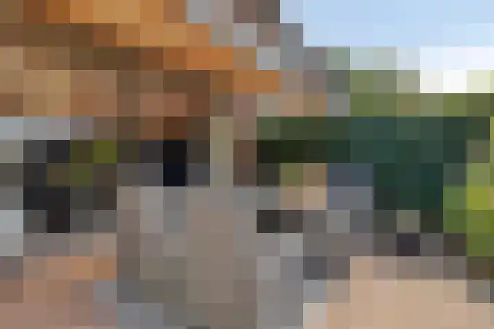 Geep 5 Hellevoetsluis thumbnail 29