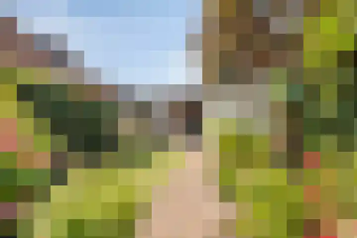 Geep 5 Hellevoetsluis thumbnail 31