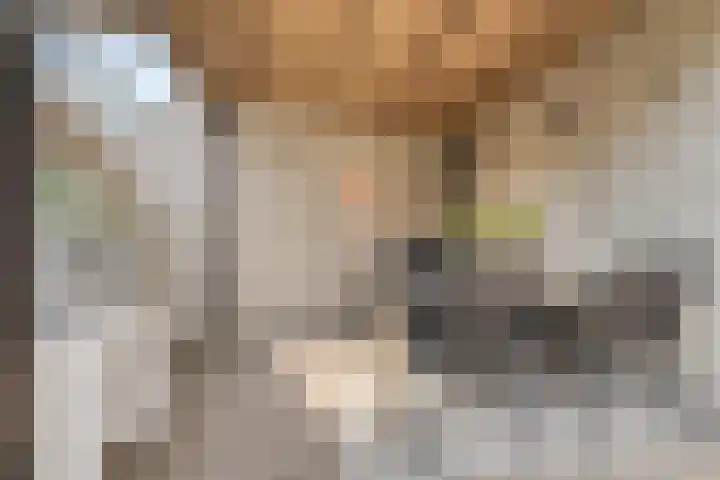 Geep 5 Hellevoetsluis thumbnail 33