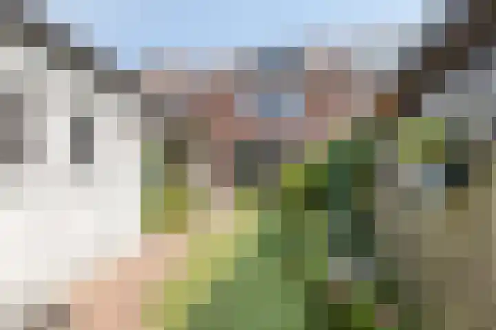 Geep 5 Hellevoetsluis thumbnail 34