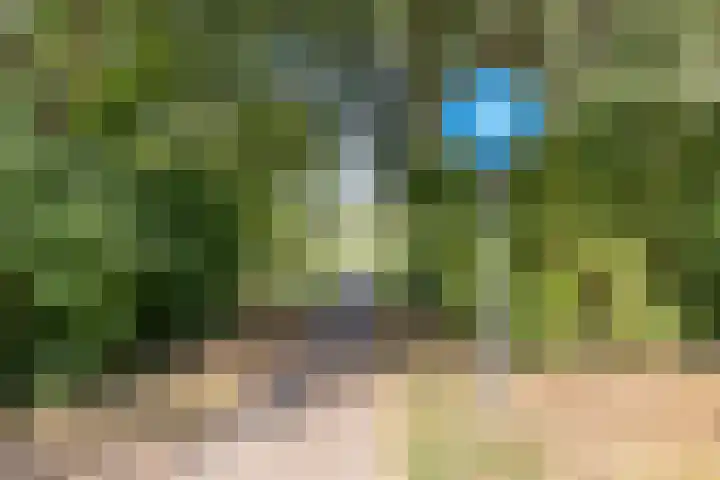 Geep 5 Hellevoetsluis thumbnail 37