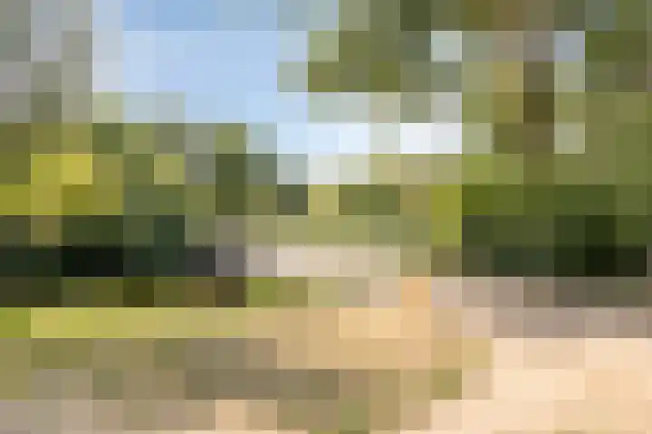 Geep 5 Hellevoetsluis thumbnail 38
