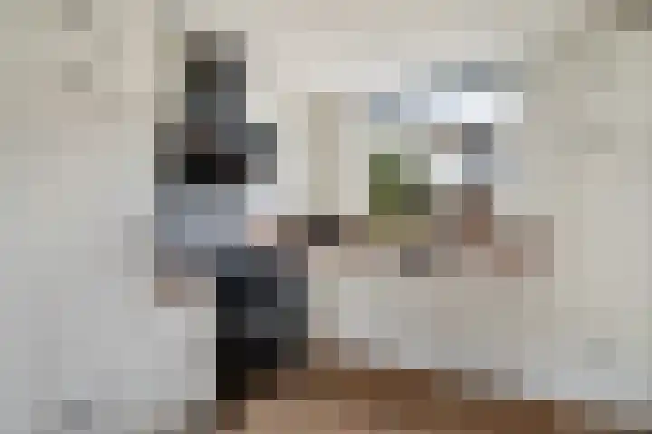 Geerbron 24 Pijnacker thumbnail 14