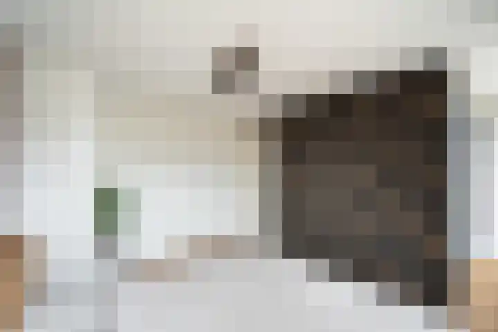 Geerbron 24 Pijnacker thumbnail 20