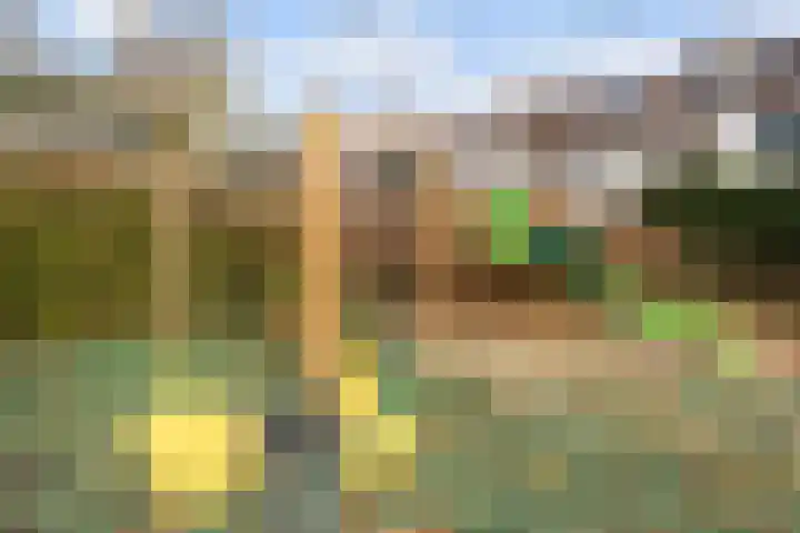 Geerbron 24 Pijnacker thumbnail 28